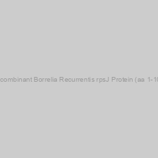 Image of Recombinant Borrelia Recurrentis rpsJ Protein (aa 1-103)